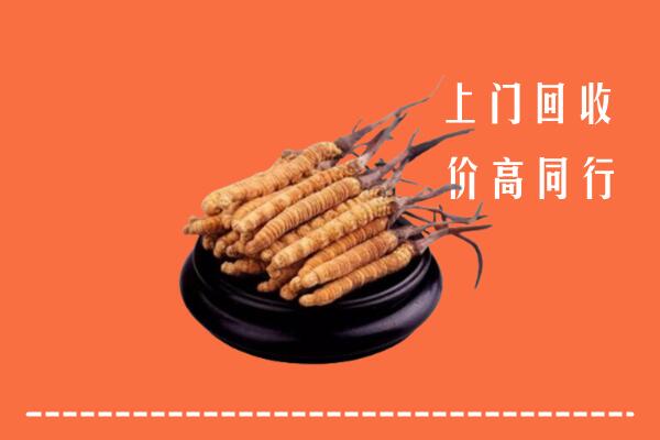高价求购：永定回收散虫草