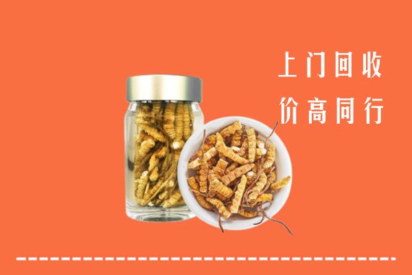 永定回收冬虫夏草