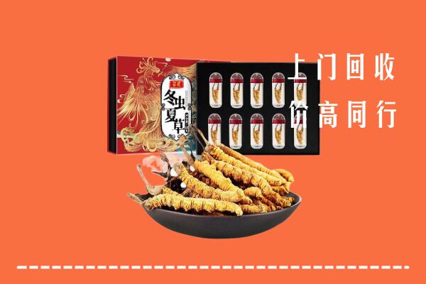 永定回收虫草
